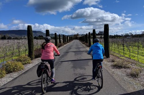 E-bike Tour